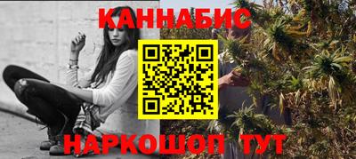 МДПВ Новозыбков