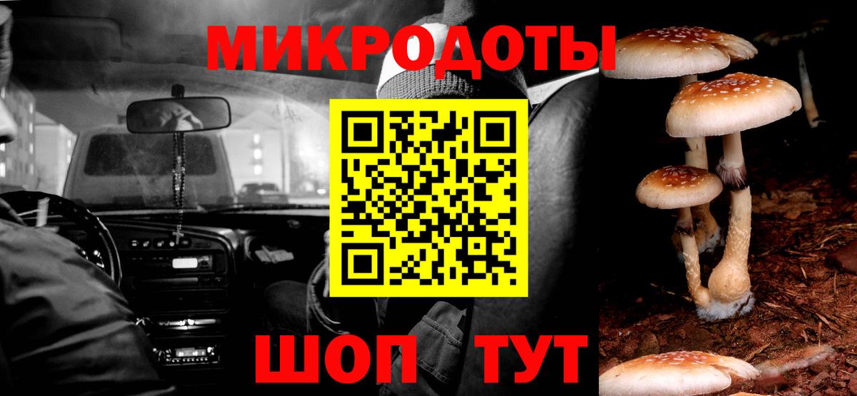 Галлюциногенные грибы Magic Shrooms Татарск